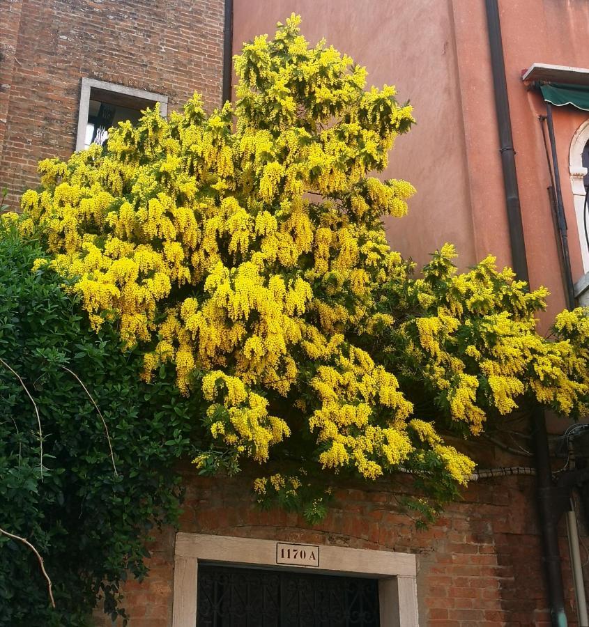 Cinqueteste Luxury Home Venezia Esterno foto
